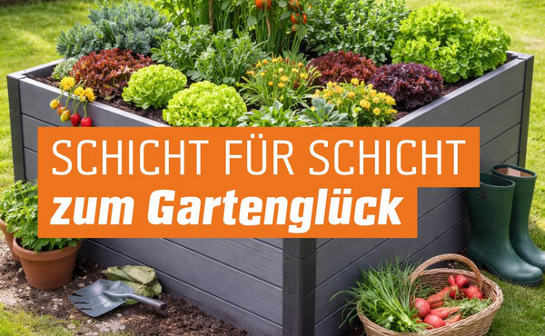 bepflanztes Hochbeet Hochbeet Tipps